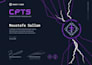 perform network and web application penetration testing